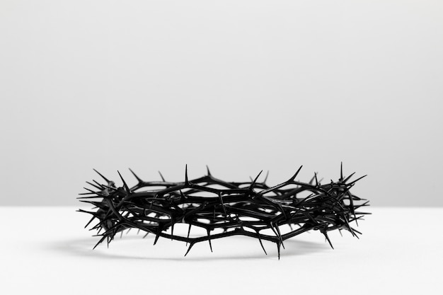 Free Photo still life of crown of thorns