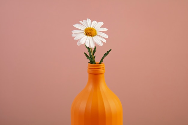 Free photo still life of daisy flowers