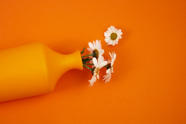 Free photo still life of daisy flowers