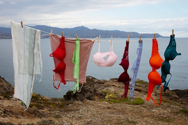 Free photo still life of different types of bras outdoors