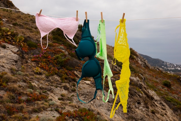 Free photo still life of different types of bras outdoors