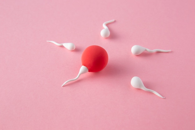 Free photo still life fertility with pink background