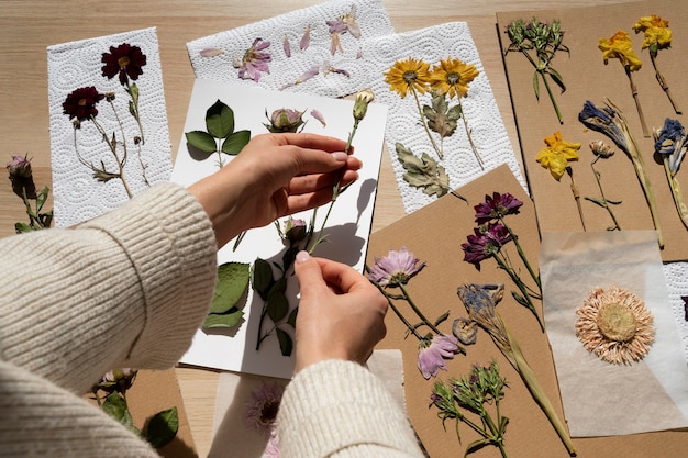 Free photo still life of flower press technique