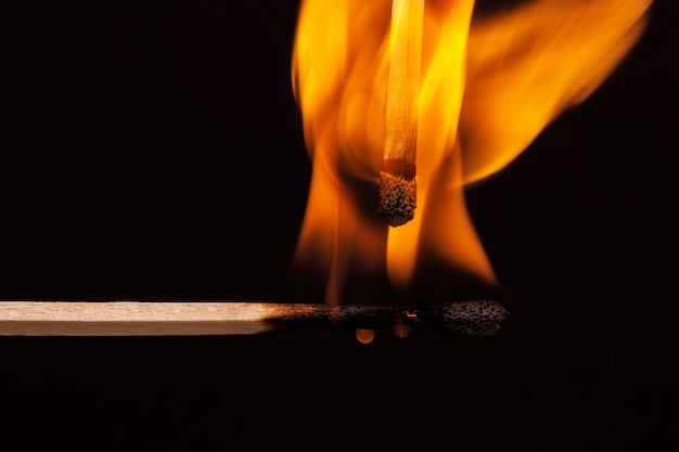 Free Photo still life of matches burning