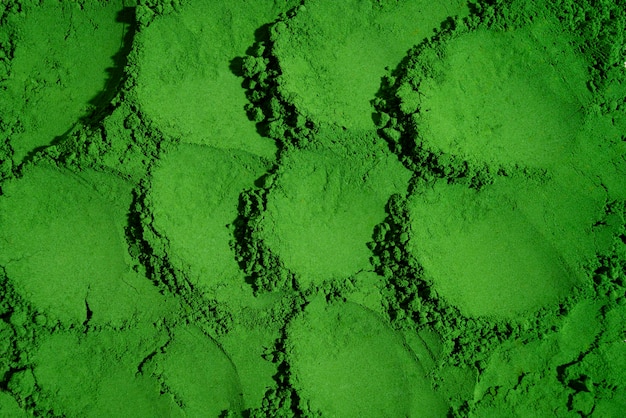 Still life of moss dust close up details