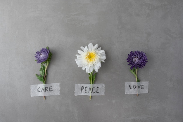 Free photo still life peace day arrangement with flower