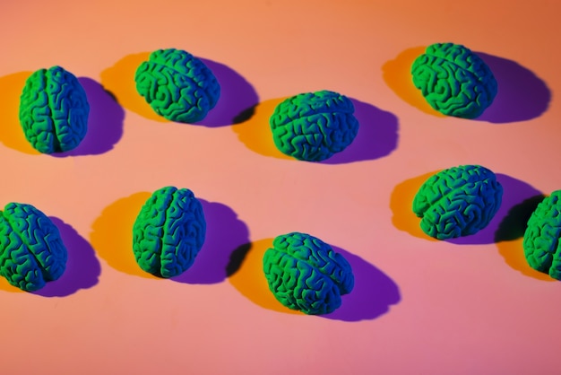 Free Photo still life of pop style human brain