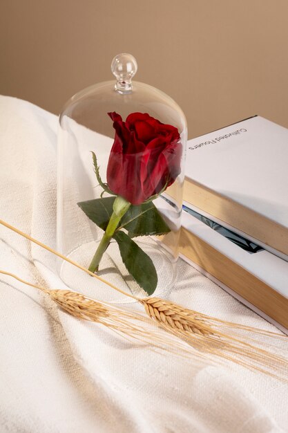 Still life of sant jordi for the day of books and roses