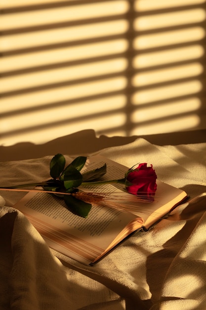 Still life of sant jordi for the day of books and roses