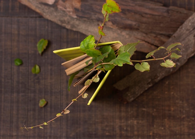 Free Photo still life sustainability concept arrangement