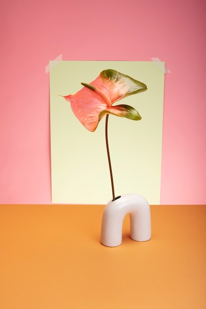 Still life with colorful leaves and flowers