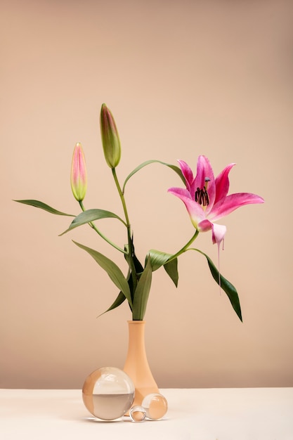 Free Photo still life with colorful leaves and flowers