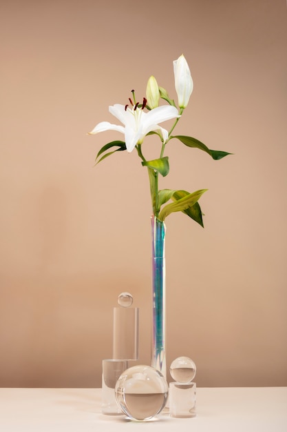 Free Photo still life with colorful leaves and flowers