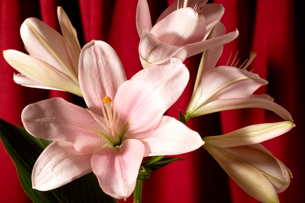 Still life with flower arrangement