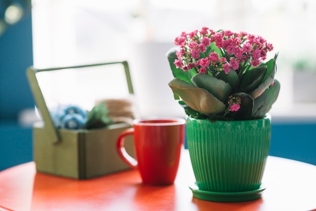 Free Photo still life with gardening concept