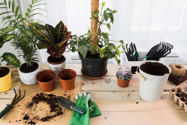 Free Photo still life with gardening concept