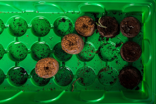 Free photo still life with gardening concept