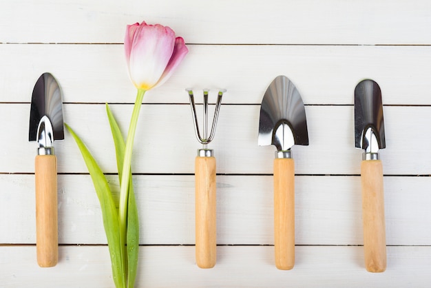 Still life with gardening objects