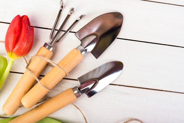 Still life with gardening objects