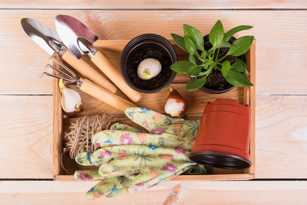 Still life with gardening objects