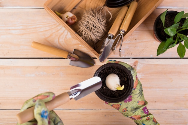 Free Photo still life with gardening objects