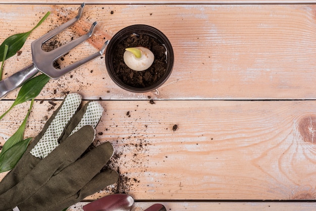 Free Photo still life with gardening objects