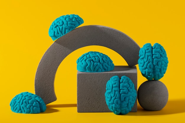 Free Photo still life with human brains and geometric shapes