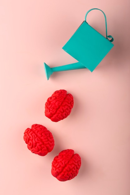 Free Photo still life with human brains and watering can