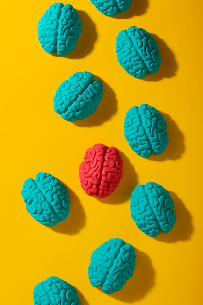 Still life with human brains