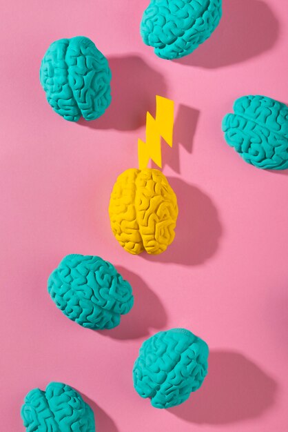 Still life with human brains