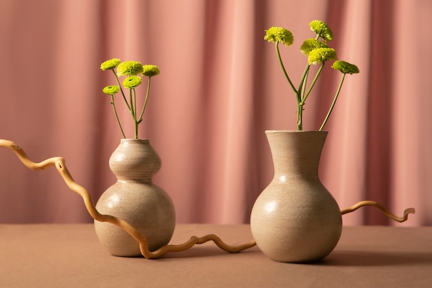 Still life with plants deco