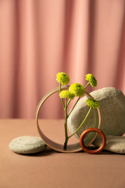 Free photo still life with plants deco