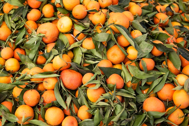 Free photo stock of oranges with leaves