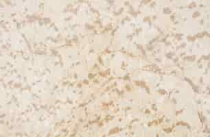 Free photo stone floor texture