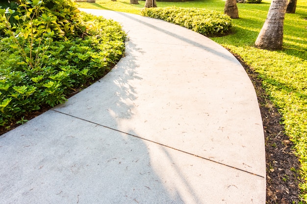 Stone path way in the garden