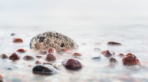 Free Photo stones in the beach