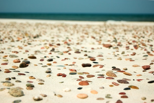 Free Photo stones in the sand