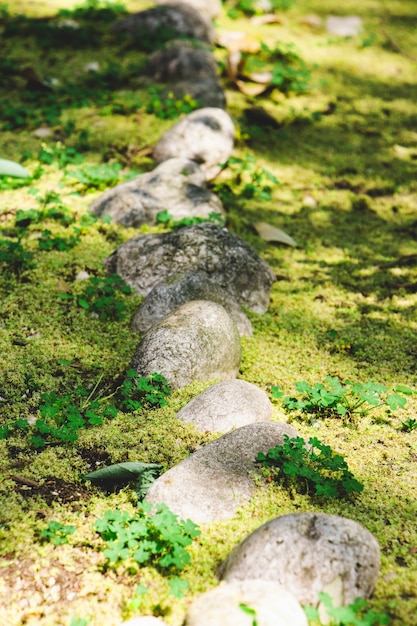 Free photo stones with moss in forest