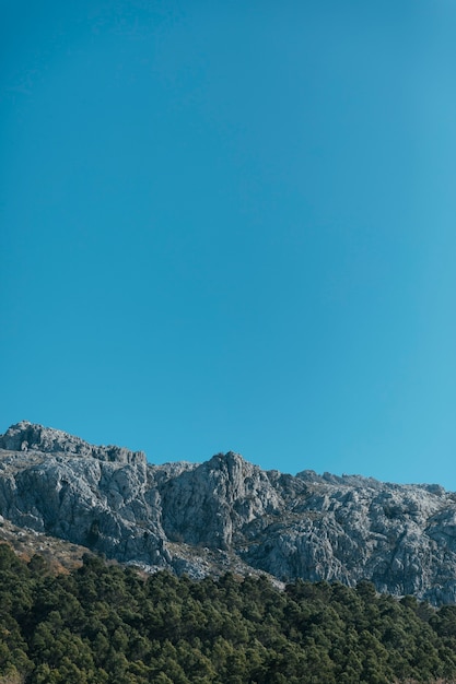 Stony mountain and trees with copy-space 