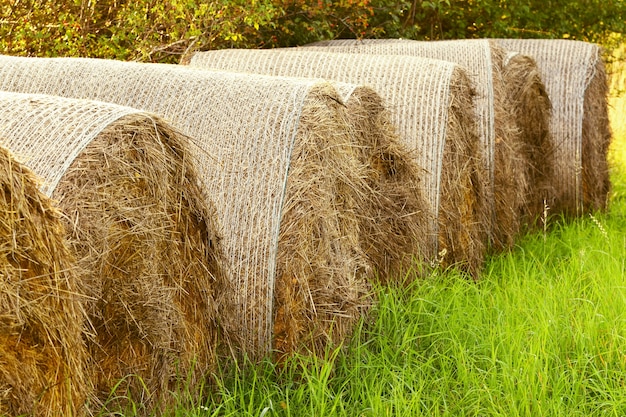 Straw balls