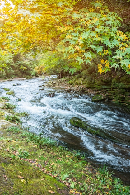 Stream Flowing Through Rocks