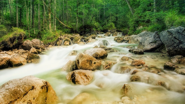 Free photo stream with rocks at the forest