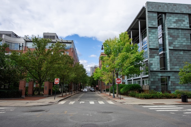 Street with modern buildings and green trees