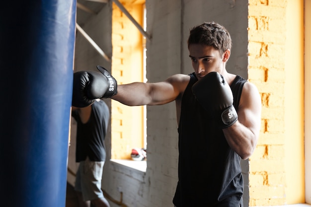 Free photo strong boxer training in a gym.