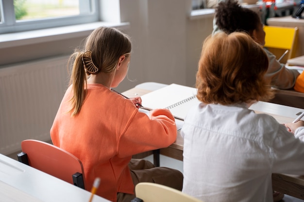 Students learning at school in their classroom