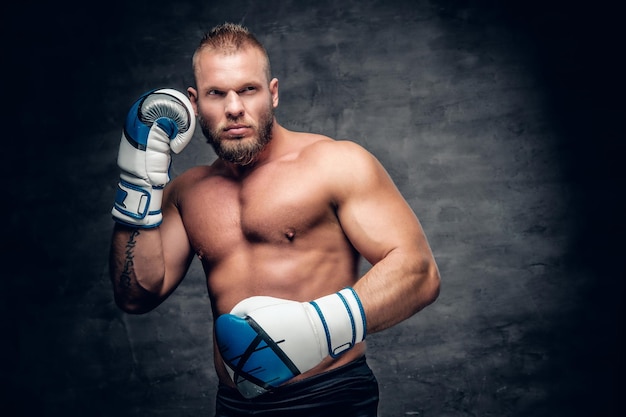 Studio portrait of bearded aggressive boxer in action over grey background.