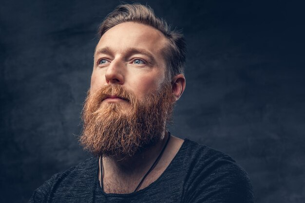 Studio portrait of blue eyed redhead bearded hipster male on grey background.