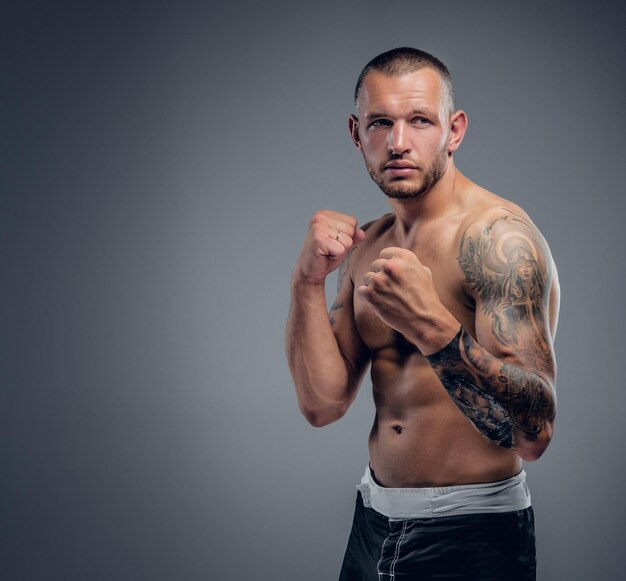 Studio portrait of the shirtless boxing fighter isolated on grey background.