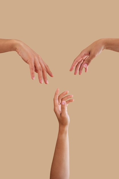 Studio portrait with people's hands