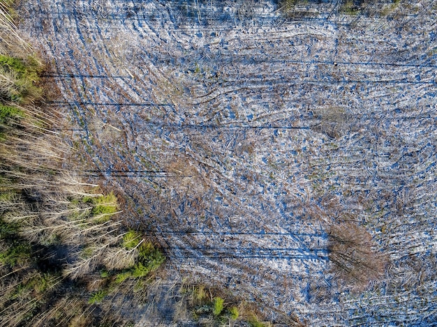 Stunning birds-eye shot of forest scenery in winter